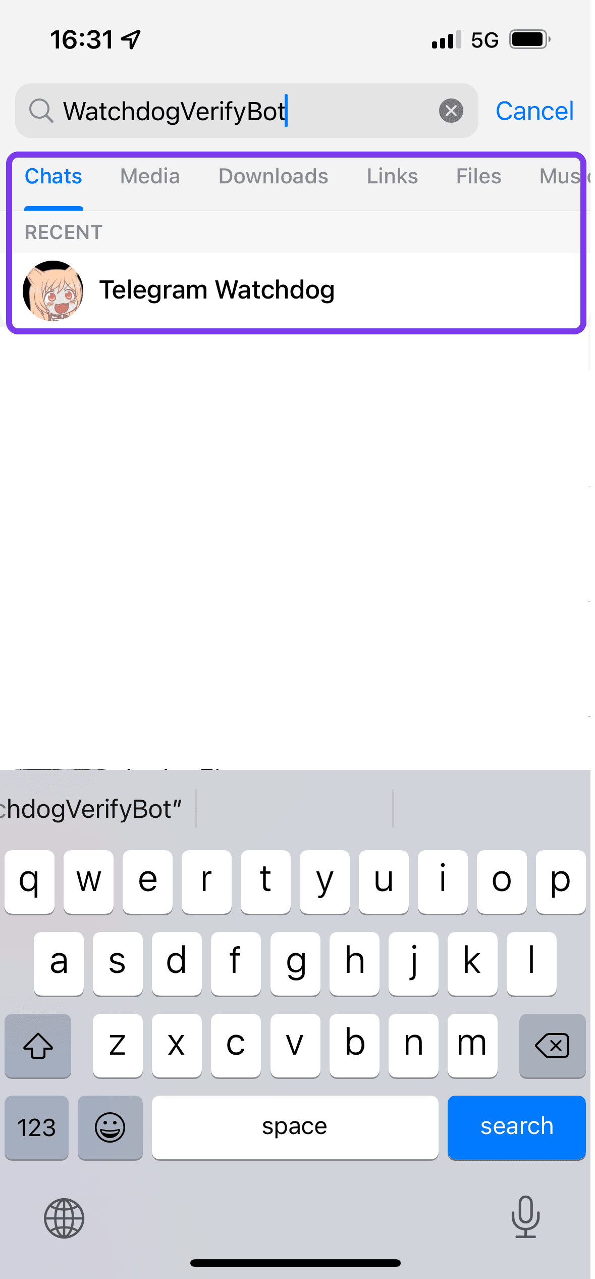 iPhone Telegram search screen with a bot result highlighted
