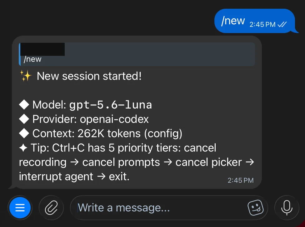 Telegram 聊天中的机器人显示回复 New session started（新对话已开始）