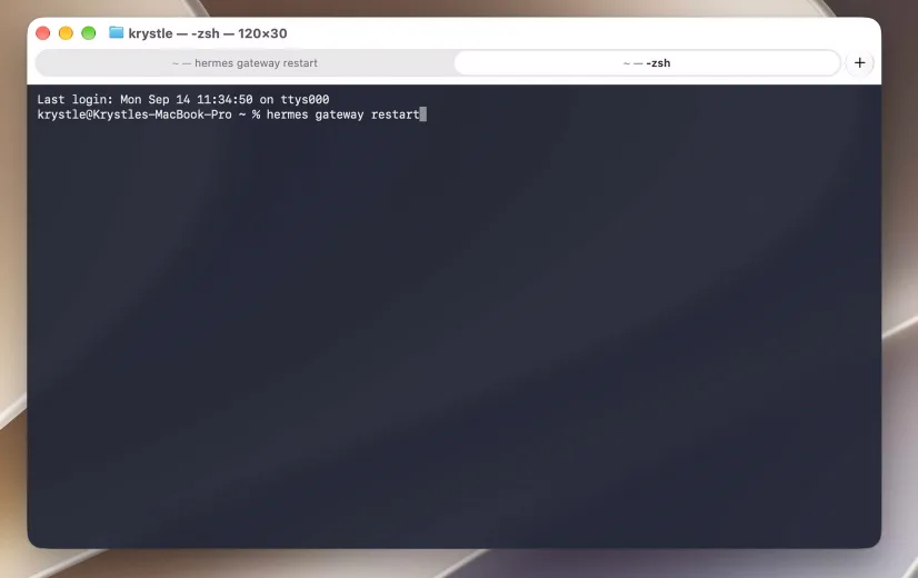 Terminal 窗口中已在提示符后输入 hermes gateway restart 指令